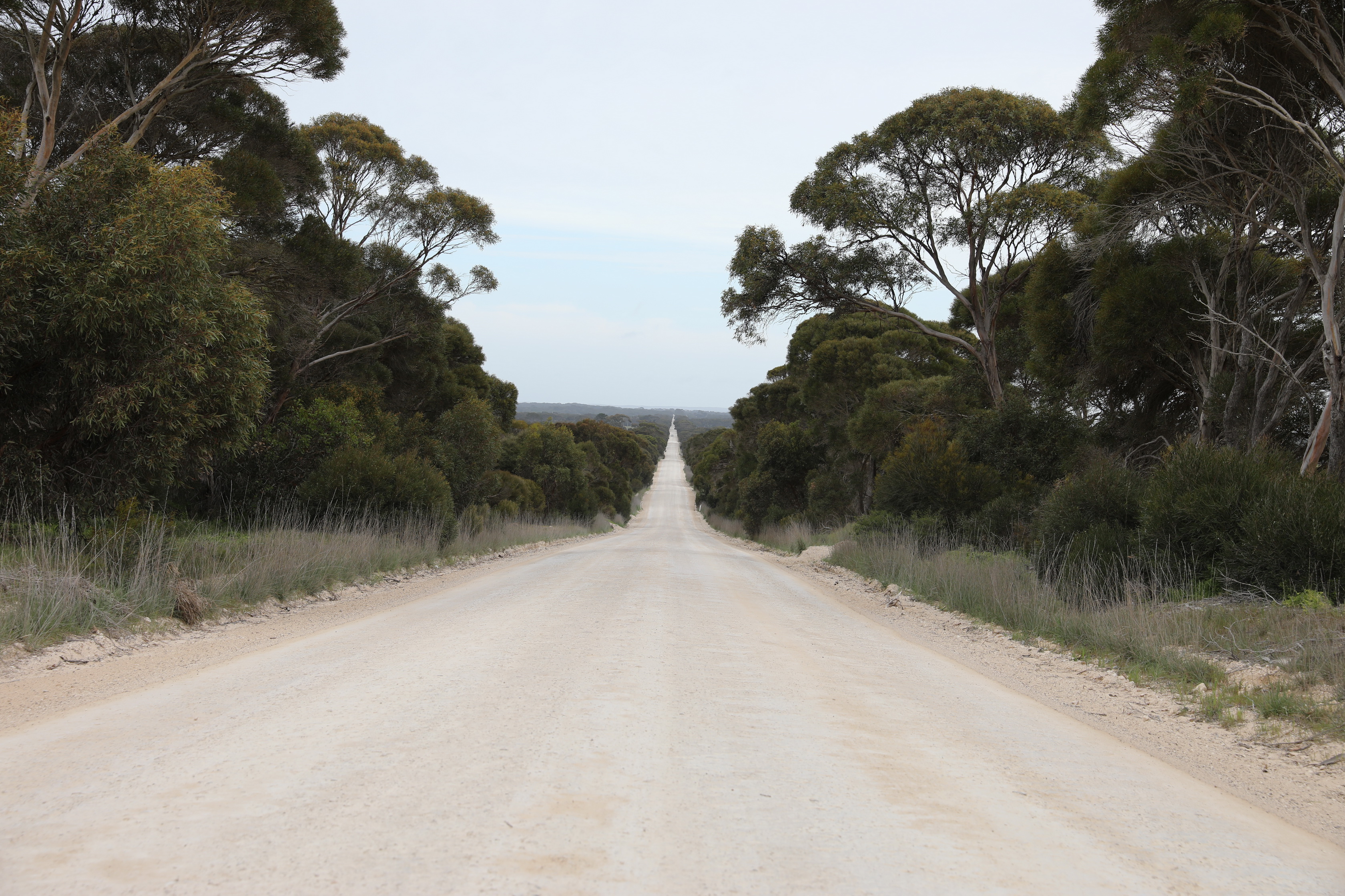 2019 10 04 15 45 57 Canon EOS 5D Mark IV 0029